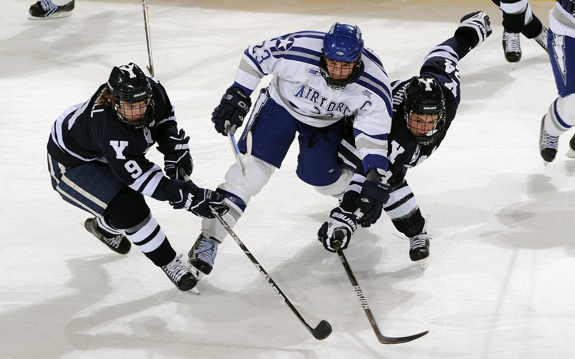 新西兰橄榄球的战略转型与年轻球员的崛起，新西兰橄榄球女运动员